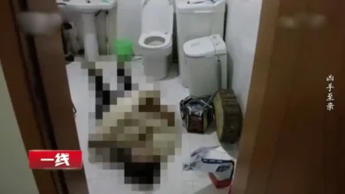 Photo of 一句话惹祸 女子惨遭亲生父亲杀害