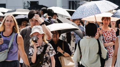 Photo of 东京雨后如“蒸笼”31人中暑送院!日本29地区发布警戒