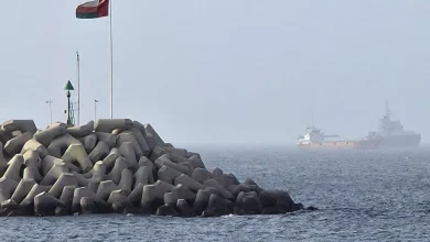 Photo of 伊朗:阿曼谈判就霍峡航运管理谈判“富有成效”
