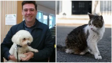 Photo of 伯纳姆爱犬不入住唐宁街 忧与“捕鼠大臣”拉里合不来