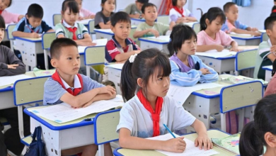 Photo of 少子化海啸！中国日均消失22所小学 59所幼儿园