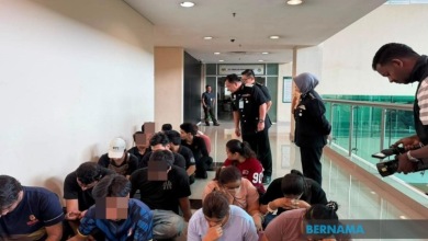 Photo of 隆移民局联手市政局打击非法移工 18人被捕助查