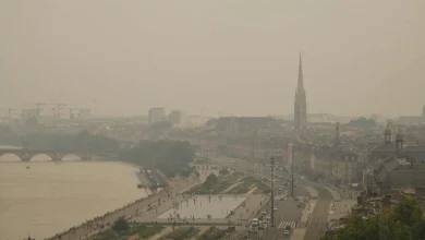 Photo of 怪物级野火酿“火积云” 法国历史名城告急