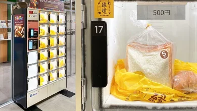 Photo of 进贩卖机还能酿啤酒 日本滞销面包再利用