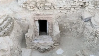 Photo of 荷兰考古队发掘埃及南部古墓 估逾3000年历史