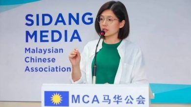 Photo of 不满官委州议员而辞官 苏仪芳：行动党演的是政治