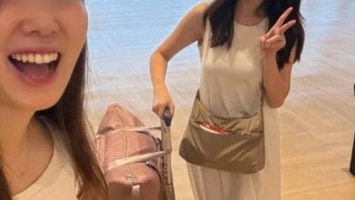 Photo of 日游客帮大马女带行李 网民惊呼太轻率：不怕运毒套路？