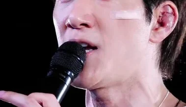 Photo of 王力宏耳伤触目惊心 见歌迷剧痛全消