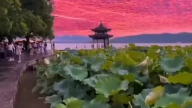Photo of 台风巴威登陆前 杭州现粉紫色天空