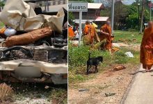 Photo of 11岁男童偷开皮卡车 猛撞苦行僧队伍9死3命危