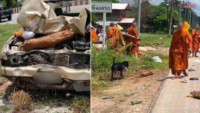 Photo of 11岁男童偷开皮卡车 猛撞苦行僧队伍9死3命危