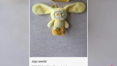Photo of “juju world”盲盒爆红!网上有人开价近1万求售