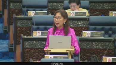 Photo of 郭素沁促设特委会 检讨简化公民权申请