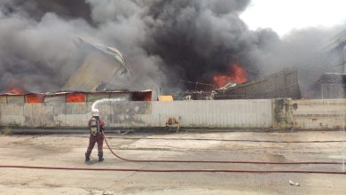 Photo of 滚滚浓烟远处可见  神料厂大火幸无伤亡
