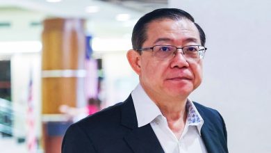 Photo of 林冠英促政府检讨决定 交代是否对阿占采行动