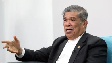 Photo of 农长：包括水果棕油成衣 伊朗拟增加进口马产品