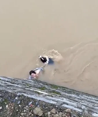 女子与爱犬身陷湍急激流中,面对不断被激流冲开的爱犬,她始终不顾自身安危,多次伸手将狗狗拉回。(视频截图/IG@am730hk)