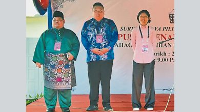 Photo of 游子选票 吸巫裔票能力 2因素定谁主利民达