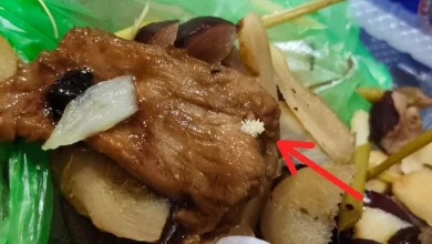 Photo of 食物上的白色颗粒是芝士粉？ 医生提醒是苍蝇卵