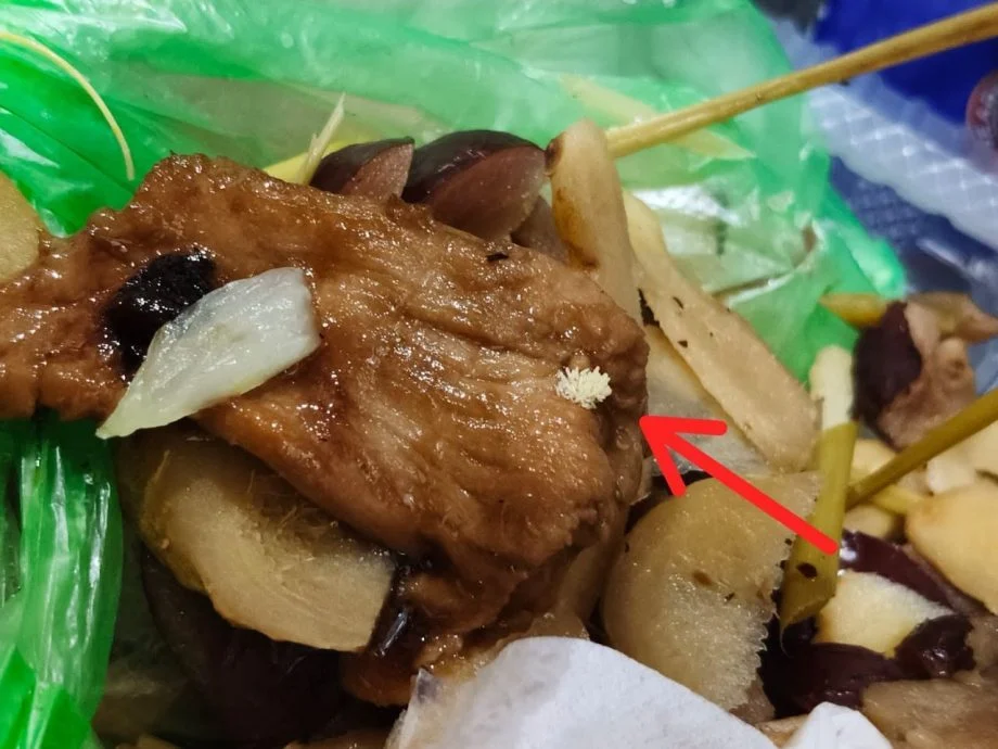 一盘炒肉上被发现有一小撮白白的粉粒东西,结果竟然是苍蝇卵,让人看了大喊恶心。(取自脸书)