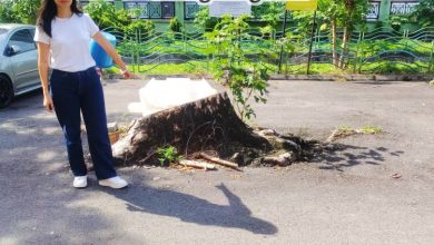 Photo of 槟市厅砍树后未清理 王煦棱：投诉4个月无果