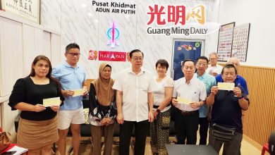 Photo of 林冠英：反对设官委州议员  挺甲火箭维护民主原则