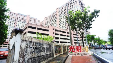 Photo of 征骨痛热症防控组全国赛 斯里槟榔花园组屋矢除蚊症黑区标签