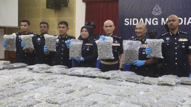 Photo of 雪警4行动捕5男女 机场民宅起获值1334万大麻花
