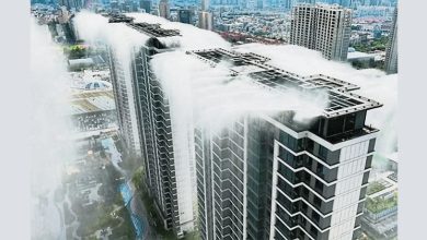Photo of 中屋苑雾化降温系统爆红