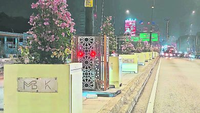 Photo of 市厅沿路修整 巴生美化迎马运