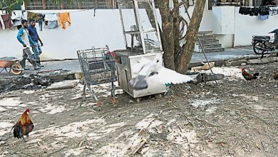 Photo of 沟渠堵塞垃圾堆积庭院养鸡 班达马兰组屋卫生糟
