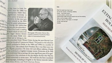 Photo of 【这里那里】我很快乐但我不知道 快乐是什么意思