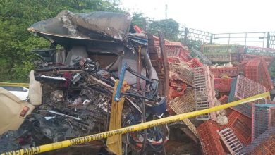 Photo of 失控撞路边拖格罗里 载鸡罗里3人身亡
