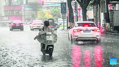 Photo of 台风『美莎克』越南再登陆 移向广西钦州发暴雨预警
