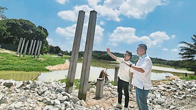 Photo of 居林太子湖休闲公园 人行桥重建料11竣工