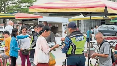 Photo of 大年电子泊车扩至4区 派传单讲解使用方式