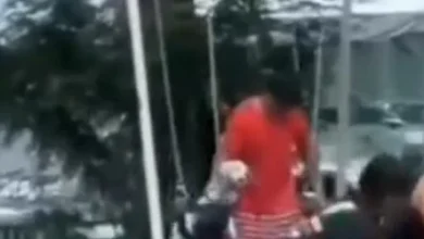 Photo of 让宠物狗荡秋千荡到呕吐  狗主人行为被拍下引热议