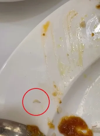 视频画面显示,当事人食用椰浆饭至一半时,惊见盘中有一条蠕动的蛆虫。(视频截图/Threads@shafy.alyvia)