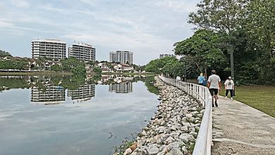 Photo of 哥打哥文宁湖禁钓鱼 黄智荣:违例可被控