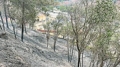 Photo of 本查阿南山火肆虐 2校停课 师生急撤