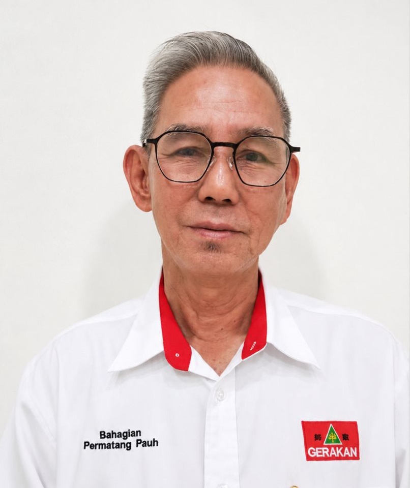 伊青团叫民政党“Hands Off” 黎启森: 问过刘华才没?