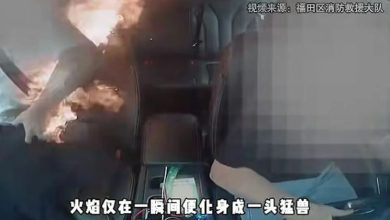 Photo of 裤袋充电宝突爆燃 乘客竟甩向司机