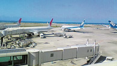 Photo of 颱风“白海豚”来袭 日本冲绳航班大乱