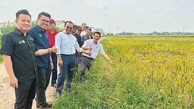 Photo of 林万锋:往甲市区捷径路下陷 提议建防崩墙再修路