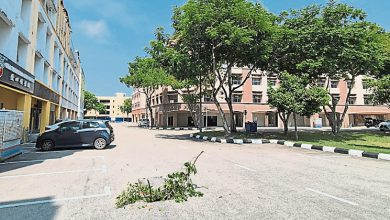 Photo of 双岛城地下电缆遭窃留坑 议员促修井盖加强巡逻