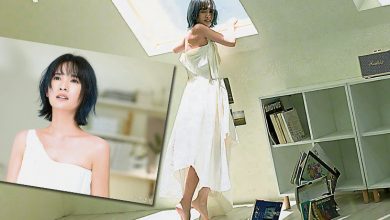 Photo of 《房间裡的大象》杨丞琳MV抱6奖