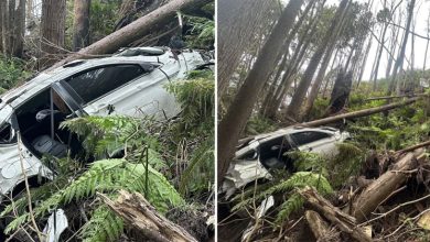 Photo of 苦寻成空! 男失踪5个月终于找到 坠深谷无人知遗体化白骨