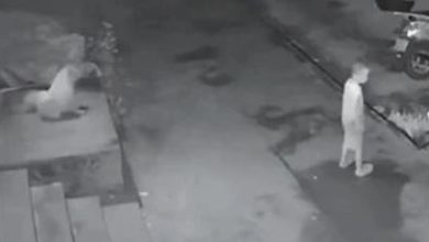 Photo of 中国多部门介入关注 ! 4岁男童深夜独走村中 困了就倒空地睡觉