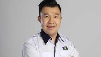 Photo of 中路树倒压车伤人〡98万花了 效果呢？ 薛杰豪质疑槟政府高科技管理树木