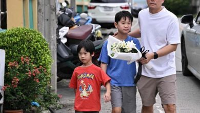 Photo of 东南亚民间持枪冠首   泰平均100人竟有15支枪